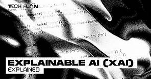Explainable AI (XAI) Explained