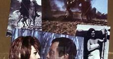 La esfinge de cristal (1967) Online - Película Completa en Español - FULLTV