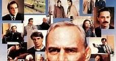 A Simple Story (1991) Online - Película Completa en Español / Castellano - FULLTV