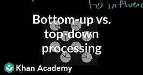 Bottom-up vs. top-down processing | Processing the Environment | MCAT | Khan Academy