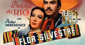 Flor Silvestre 1943) Pelicula Mexicana En HD, Dolores del Rio, Pedro Armendáriz, Emilio Fernández.