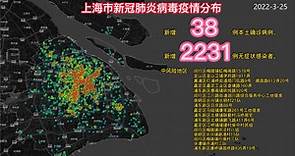 2022年上海市新冠疫情时空演变图（截止时间：2022年3月25日24时）