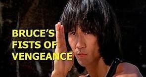 Wu Tang Collection: Bruces Fists of Vengeance