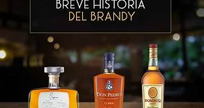 Historia del brandy, definición y su país de origen | Domecq