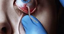 The Strain - watch tv series streaming online