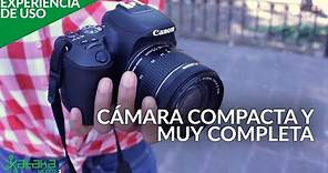 Canon SL2, EXPERIENCIA DE USO en ESPAÑOL: una cámara réflex básica con características profesionales