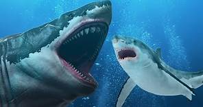 ¿Evolucionó el megalodón en el gran tiburón blanco?