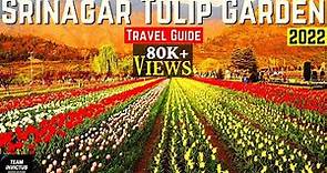 Tulip Garden Kashmir 2021 | Asia's Largest Tulip Garden | Beautiful Gardens of Kashmir - Srinagar