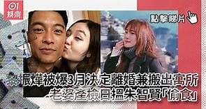 黎振燁被爆3月決定離婚兼搬出寓所 老婆產檢日搵朱智賢「偷食」
