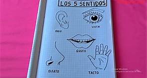 Como dibujar los cinco sentidos/how to draw the 5 senses/DibujoYColor