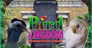 Visiting Bird Kingdom [World's Largest Indoor Free Flying Aviary] Niagara Falls, Ontario
