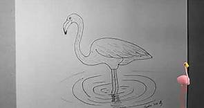 ¿Cómo dibujar un flamenco? | How to draw a flamingo?HD