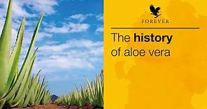 The History of Aloe Vera | Forever Living UK & Ireland