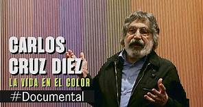 #Documental - Carlos Cruz Diez, la vida en el color