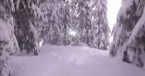 Snow Buddies - Cachorros en la Nieve - Trailer español