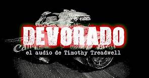DEVORADO: El audio de Timothy Treadwell