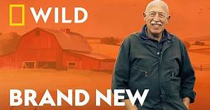 Dr. Pol's Jubilee Season in Farmland Michigan | The Incredible Dr Pol | National Geographic UK