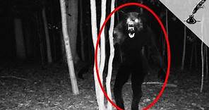 5 Darkest Cases of Real Werewolves in History