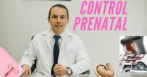 Control Prenatal (paso a paso)