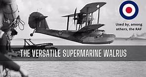 The Supermarine Walrus: an versatile amphibious biplane!