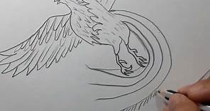Cómo dibujar un AVE FÉNIX | How to draw a PHOENIX BIRD
