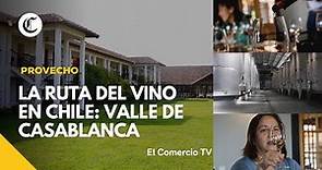 Recorre la ruta del Vino en Chile: Conoce las variedades de Uva en Casablanca #Prov #VideosEC