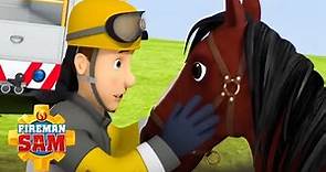 ¡Sam salva un caballo! | Sam el Bombero en Espanol | Dibujos animados