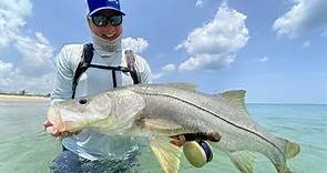 Lines in the Sand: Fly Fishing for Snook in the Summertime