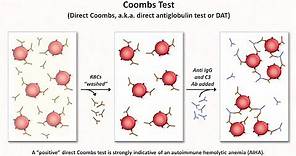 Anemia: Lesson 3 - Hemolysis