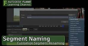 Customizing with Segment Renaming - Flame 2018