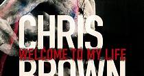Chris Brown: Bienvenidos a mi vida online