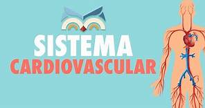 Sistema Cardiovascular - Toda Matéria