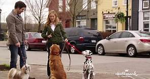 Tutti i cani dei miei ex, Il Trailer ufficiale del film - HD - Film (2014)