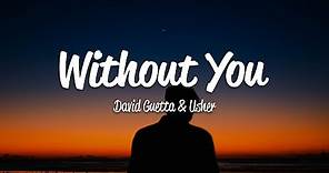 David Guetta - Without You (Lyrics) ft. Usher