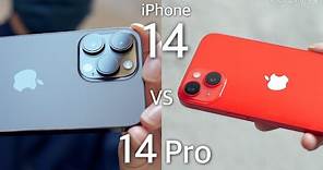 iPhone 14/Plus vs iPhone 14 Pro Max！ 4800萬像素有明顯分別？日拍、夜拍、室內、拍片對比評測！ FlashingDroid 出品