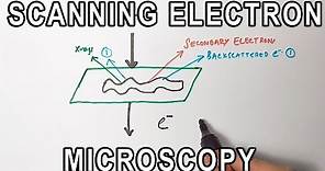 Principle of Scanning Electron Microscopy | SEM