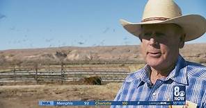 Cliven Bundy's cattle still graze on federal land 5 years after standoff