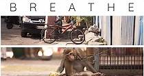 Breathe - película: Ver online completas en español
