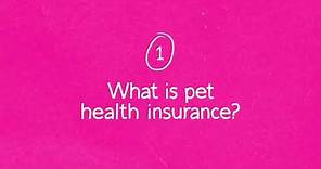 What is Pet Health Insurance? | Lemonade