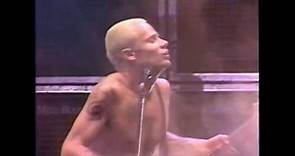 Red Hot Chili Peppers - Subterranean Homesick Blues (Lollapalooza Festival 1992)