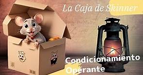 🐭 "La Caja de Skinner: Descifrando los Secretos del Aprendizaje y el Comportamiento"