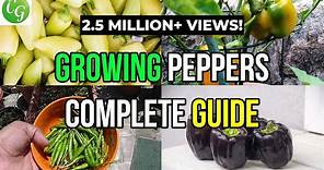 The Ultimate Pepper Growing Guide: Expert Tips for a Bountiful Harvest
