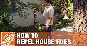 How to Keep Flies Away and Prevent Flies in Your House