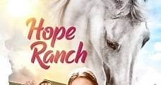 Hope Ranch / Riding Faith (2020) Online - Película Completa en Español - FULLTV