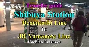 【Transfer guide】 Shibuya Station 「Denentoshi Line」 to「 JR Yamanote Line 」(Hachiko Entrance)