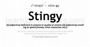 Stingy pronunciation and definition