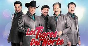 Los Tigres Del Norte - 30 Grandes Exitos De Los Tigres Del Norte - Puros Corridos Mix 2021