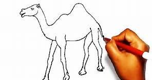 How To Draw a Camel.