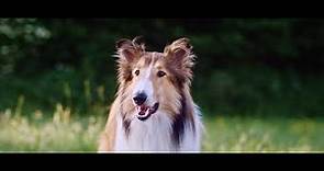 Tráiler | Lassie