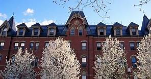 Tufts in Spring